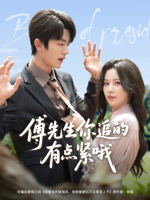 傅先生你追的有点紧哦（95集）完整版