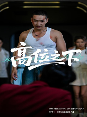 高位之下(65集) 高位之下(65集)真的太好看了