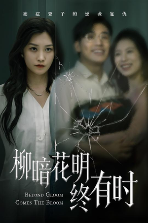 柳暗花明终有时(50集) 柳暗花明终有时(50集)免费看全集