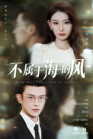 不属于海的风(40集) 不属于海的风(40集)海量资源免费看
