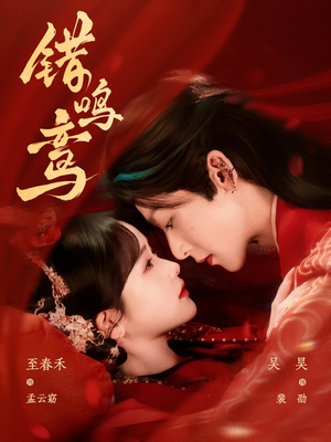 错鸣鸾(75集) 错鸣鸾(75集)大结局一气呵成