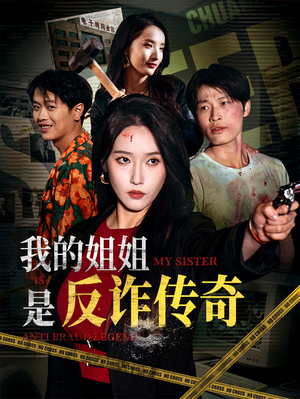 我的姐姐是反诈传奇（60集）80到100集