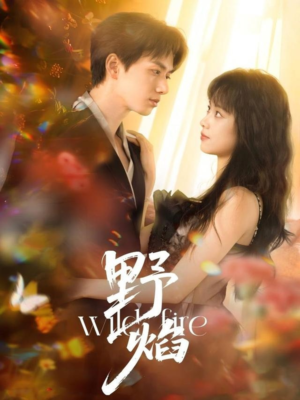 野焰(60集) 野焰(60集)最热短剧抢先看