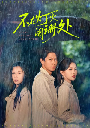 不在灯火阑珊处（74集）完整版