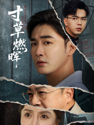 寸草燃晖(70集) 寸草燃晖(70集)好看到停不下来