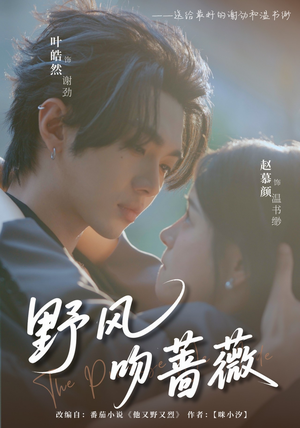 野风吻蔷薇(78集) 野风吻蔷薇(78集)短剧上头又好看