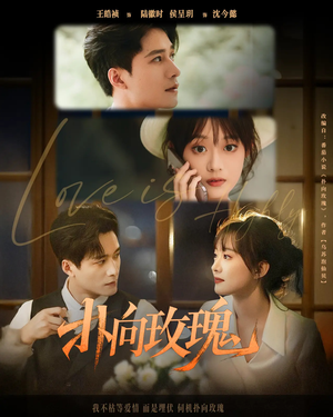 扑向玫瑰(77集) 扑向玫瑰(77集)精彩短剧天天看