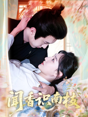 闻香识南枝（60集）全网短剧抢先看