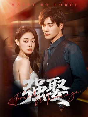 强娶(80集) 强娶(80集)恋爱短剧分享