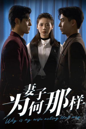 妻子为何那样(60集) 妻子为何那样(60集)恋爱短剧分享