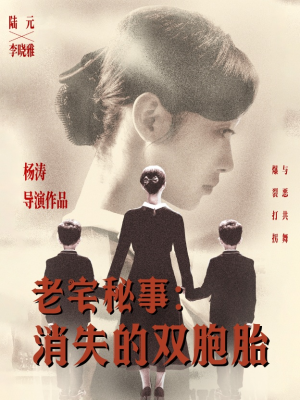 老宅秘事消失的双胞胎(90集) 老宅秘事消失的双胞胎(90集)热播短剧全集看