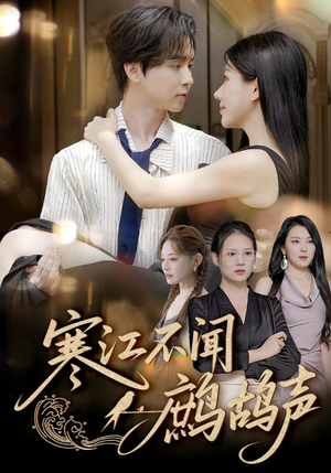 寒江不闻鹧鸪声（55集）热门短剧追不停