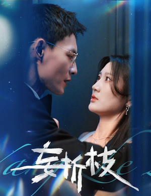 妄折枝(53集) 妄折枝(53集)免费短剧看全集