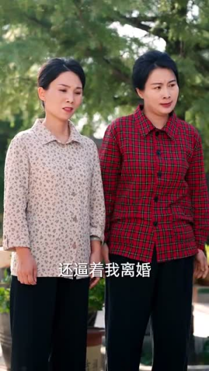 逆旅星光照新程(51集) 逆旅星光照新程(51集)解说