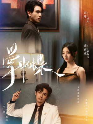 掌中蝶(84集) 掌中蝶(84集)热门了短剧