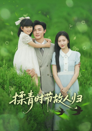 揉青时节故人归(60集) 揉青时节故人归(60集)免费短剧完整版