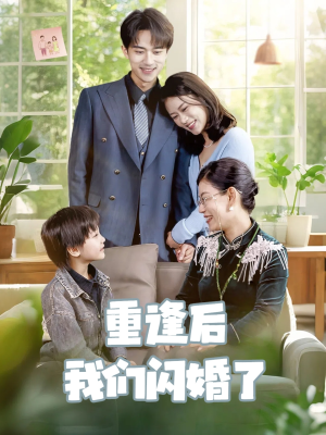 重逢后我们闪婚了（35集）热播短剧免费看