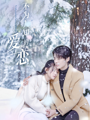 不为人知的爱恋(70集) 不为人知的爱恋(70集)红果免费短剧