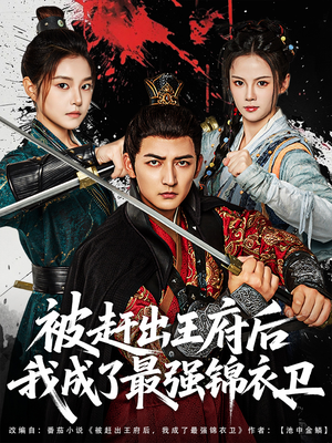 被赶出王府后我成了最强锦衣卫（80集）夸克在线观看