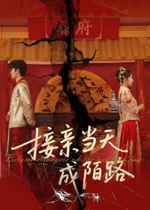 接亲当天成陌路(50集) 接亲当天成陌路(50集)超甜短剧分享