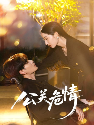 公关危情（60集）最近很火的短剧