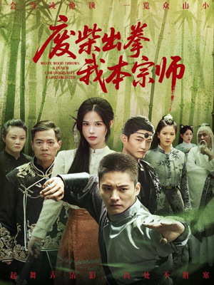 废柴出拳我本宗师(61集) 废柴出拳我本宗师(61集)熬夜追短剧