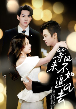 等风来不如追风去(72集) 等风来不如追风去(72集)新短剧推荐