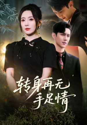 转身再无手足情（71集）口碑爆棚免费看