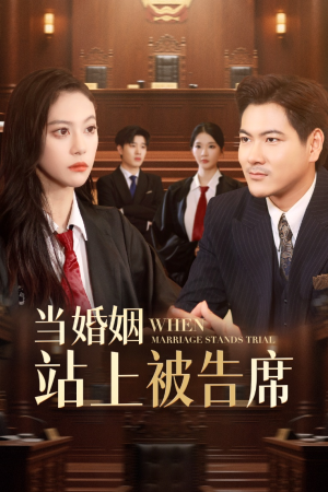 当婚姻站上被告席(30集) 当婚姻站上被告席(30集)我真的爱了