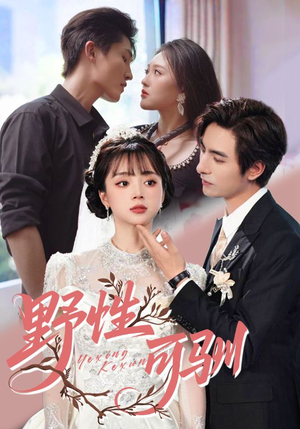 野性可驯(63集) 野性可驯(63集)热门短剧追不停