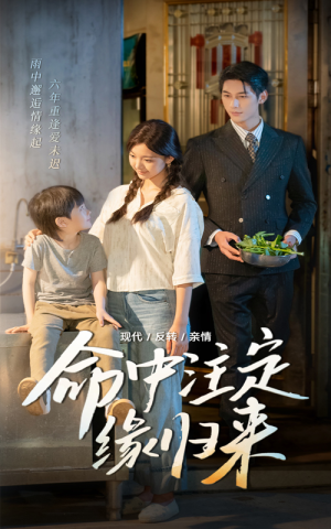 命中注定缘归来(63集) 命中注定缘归来(63集)网盘在线观看