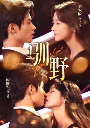 驯野(77集) 驯野(77集)360网盘观看