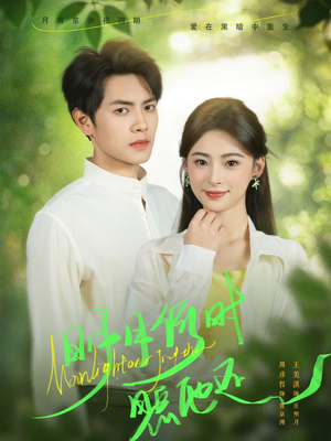 明月何时照他还(73集) 明月何时照他还(73集)短剧视频分享