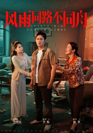 风雨同居不同舟（32集）解说