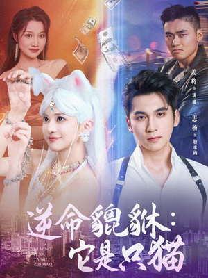 逆命貔貅它是只猫(35集) 逆命貔貅它是只猫(35集)简直不要太好看