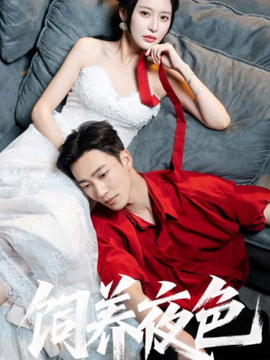 饲养夜色(86集) 饲养夜色(86集)真的太精彩了