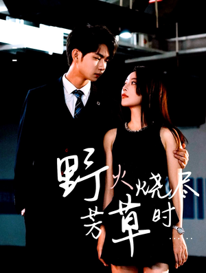 野火烧尽芳草时（65集）热门短剧榜单