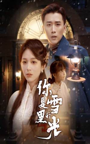 你是雪里的光（64集）红果短剧看全集
