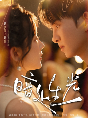 暗处生光(82集) 暗处生光(82集)短剧分享片段