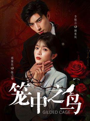 笼中之鸟(70集) 笼中之鸟(70集)免费看全集