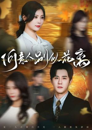 何意人别似花离(61集) 何意人别似花离(61集)短剧解说热门