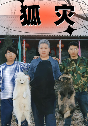 狐灾(25集) 狐灾(25集)女主谁演的