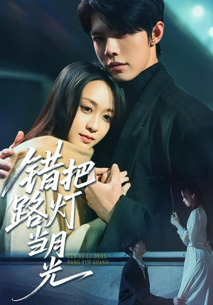 错把路灯当月光(40集) 错把路灯当月光(40集)360网盘观看