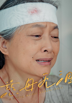 慈母无泪（30集）热门短剧免费看