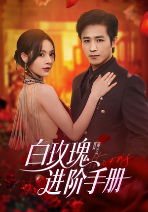 白玫瑰进阶手册（64集）番茄免费短剧