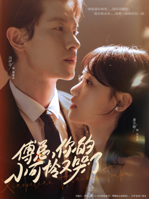 傅总你的小可怜又哭了(80集) 傅总你的小可怜又哭了(80集)热门短剧排行榜