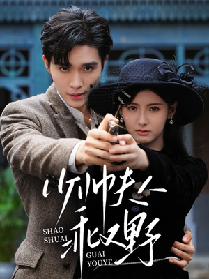 少帅夫人乖又野（84集）百度在线观看