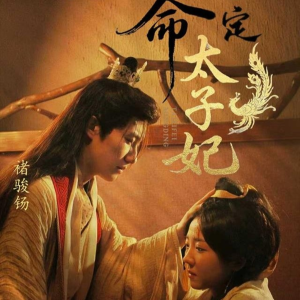 命定太子妃(63集) 命定太子妃(63集)短剧推荐分享