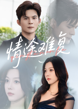 情途难复（50集）短剧分享剧集