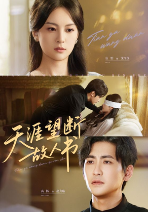 天涯望断故人书(60集) 天涯望断故人书(60集)追短剧关注我